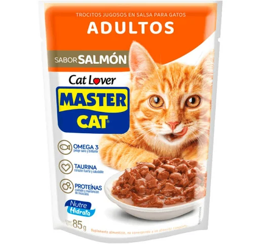 Alimento Húmedo Salmon Adulto Master Cat 20x85gr